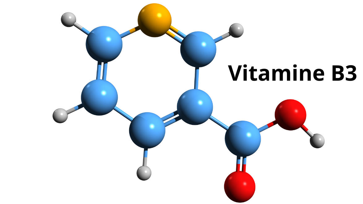 Structure moléculaire de la Vitamine B3